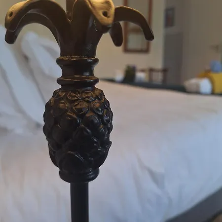 Quinta Dos Choroes São Vicente Ferreira