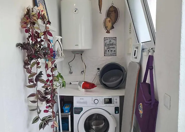 Quinta Dos Choroes São Vicente Ferreira