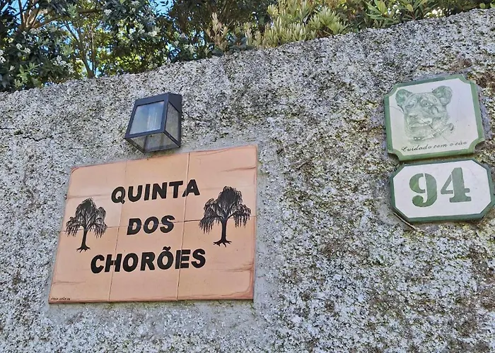 Quinta Dos Choroes São Vicente Ferreira