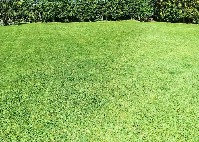 Quinta Dos Choroes 게스트하우스 3*