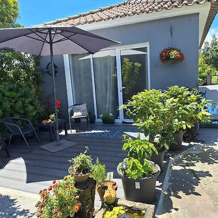 Quinta Dos Choroes 3* São Vicente Ferreira