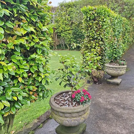 Quinta Dos Choroes São Vicente Ferreira