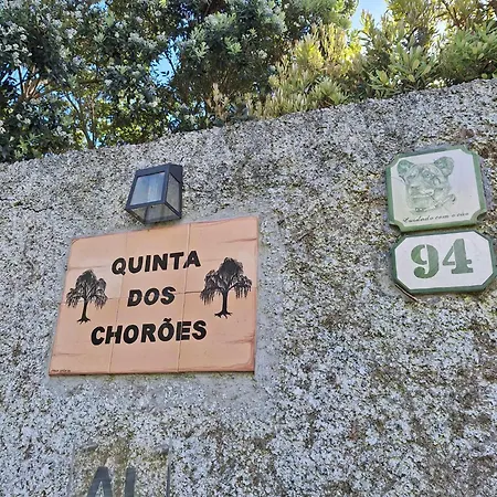 Quinta Dos Choroes São Vicente Ferreira