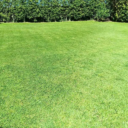 Quinta Dos Choroes Pensjonat 3*