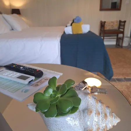 Quinta Dos Choroes 3* São Vicente Ferreira