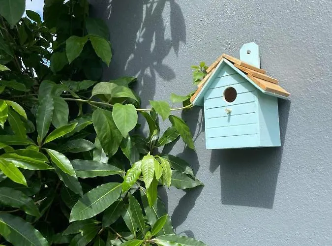 Pensjonat Quinta Dos Choroes São Vicente Ferreira
