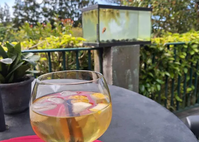 Pensjonat Quinta Dos Choroes São Vicente Ferreira