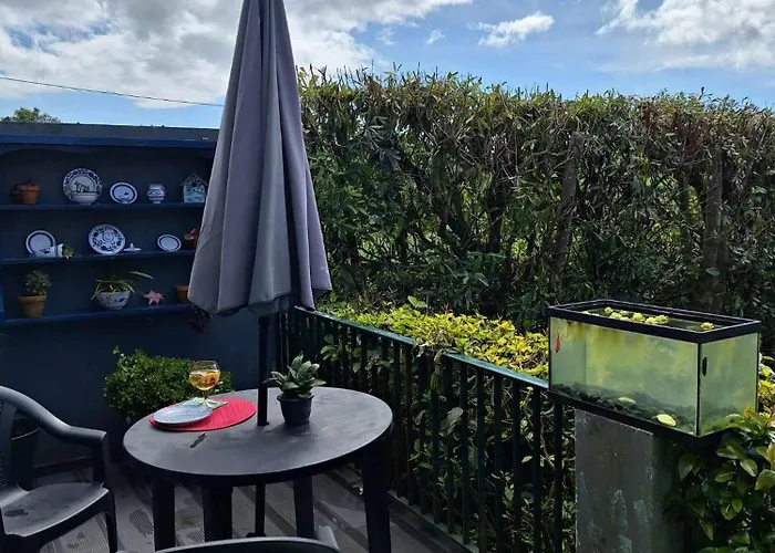 Quinta Dos Choroes Sao Vicente Ferreira