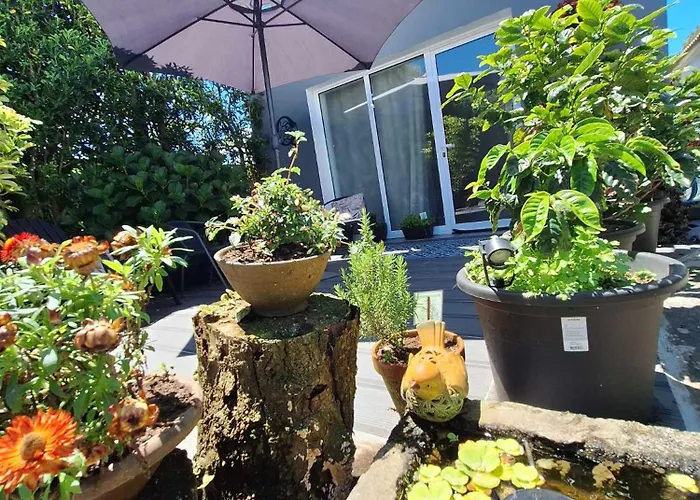 Quinta Dos Choroes 3* São Vicente Ferreira