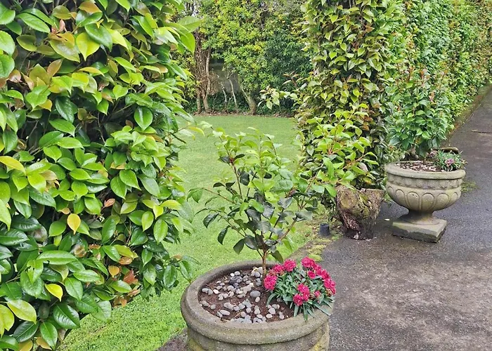 Quinta Dos Choroes São Vicente Ferreira