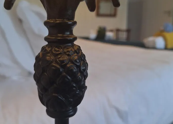 Quinta Dos Choroes São Vicente Ferreira